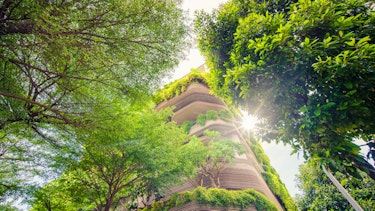 General whiteboard incl GFS 1