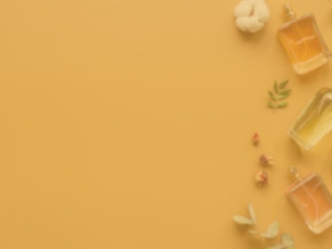 Image for Pr on Vo U survey 2024