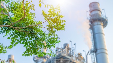 Image on a factory and a tress leaves for website ex Canva